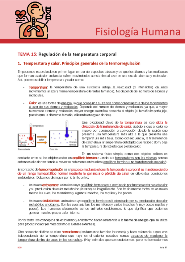 Miniatura del documento Tema-15-fisio.pdf