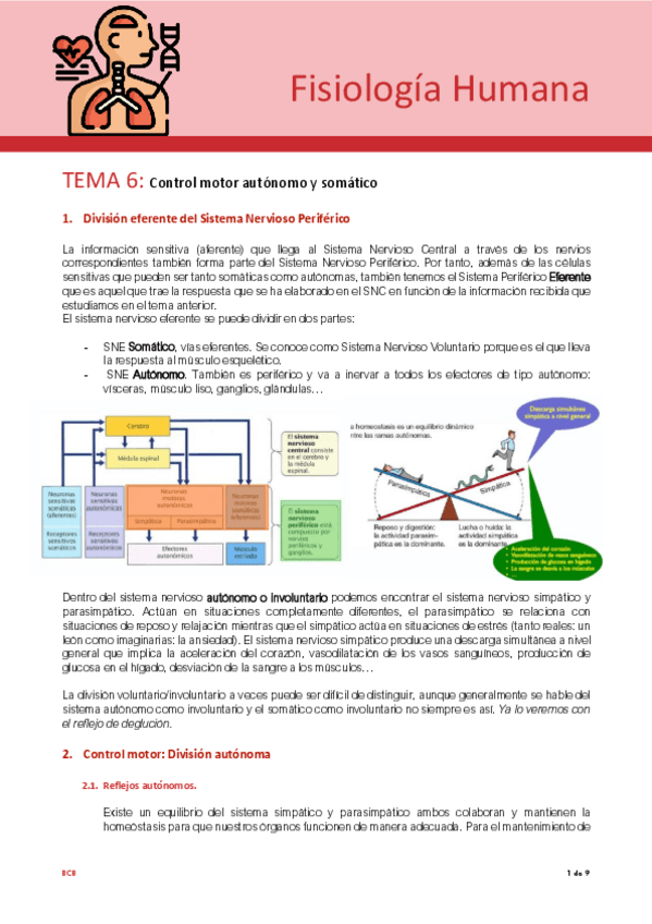 Miniatura del documento Tema-6-fisio..pdf