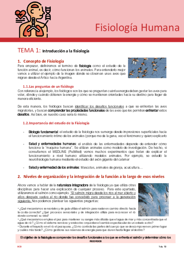 Miniatura del documento Tema-1-fisio.pdf