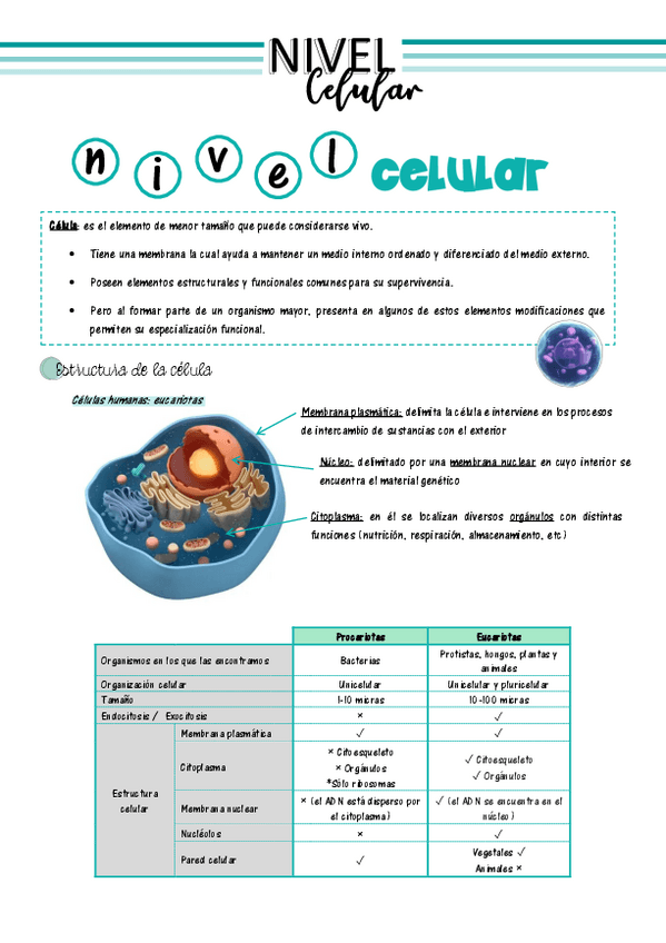Miniatura del documento La-celula.pdf