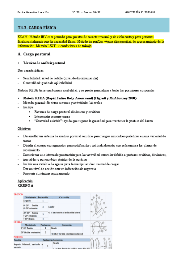 Miniatura del documento 4c-Carga fisica.pdf