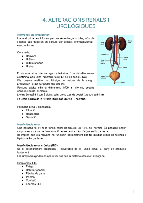 Miniatura del documento Tema-4-alteracions-renals-i-urologiques.pdf