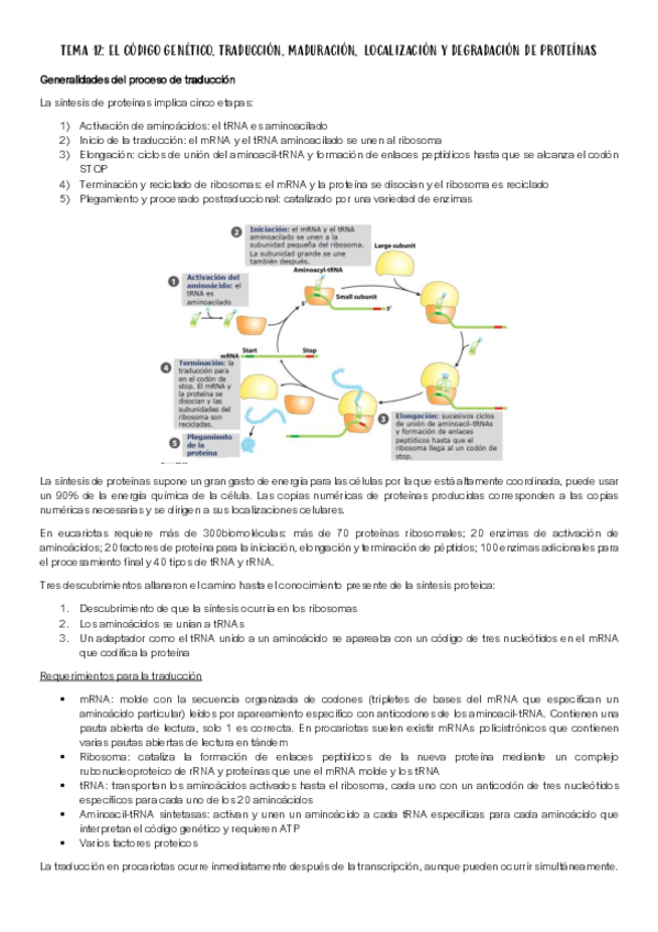 Miniatura del documento TEMA-12.pdf