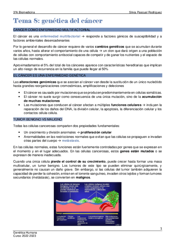 Miniatura del documento Tema-8-Genetica.pdf