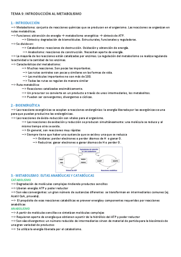 Miniatura del documento TEMA-9-BIOQUIMICA.pdf