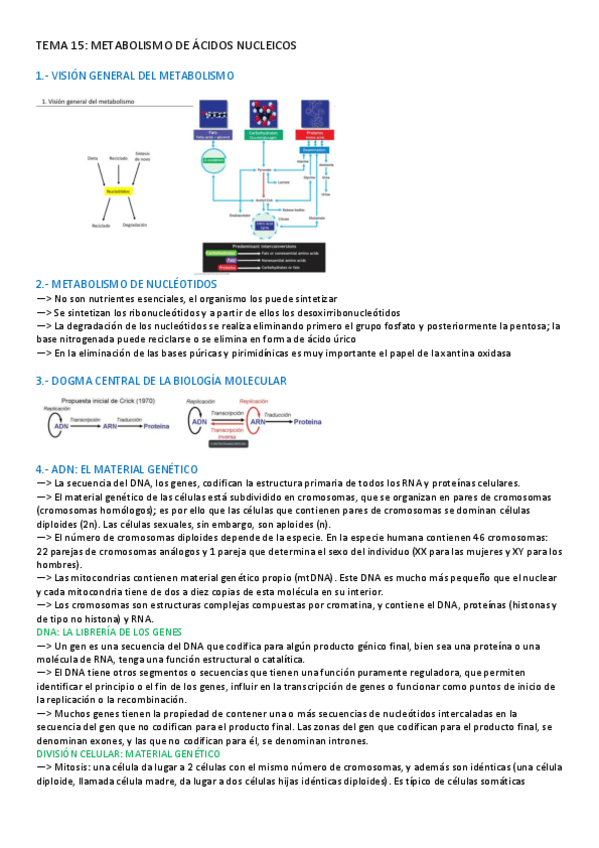 Miniatura del documento TEMA-15-BIOQUIMICA.pdf