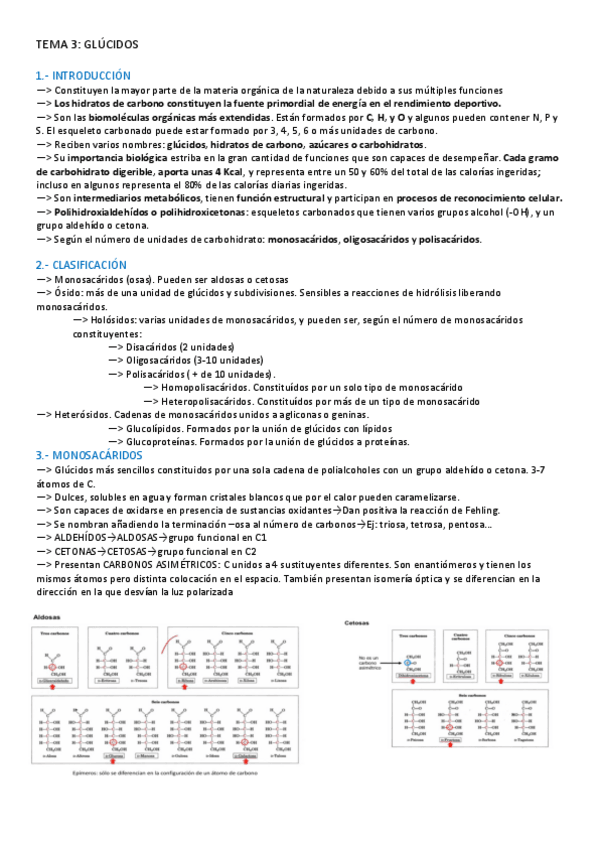Miniatura del documento TEMA-3-BIOQUIMICA.pdf