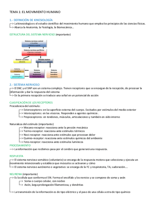 Miniatura del documento TEMA-1-KINESIOLOGIA.pdf