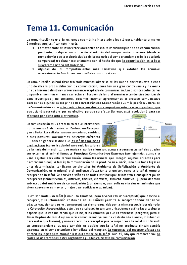 Miniatura del documento Tema-11.pdf