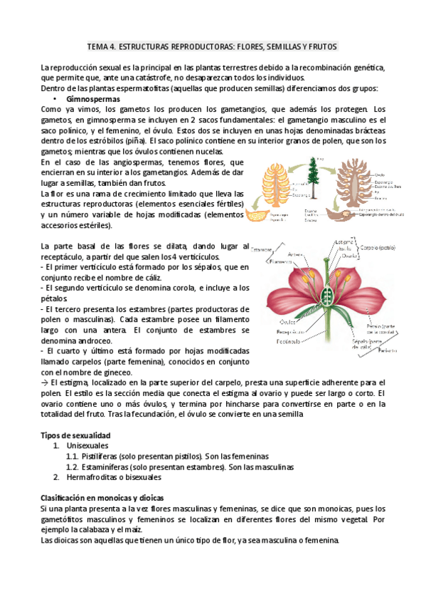 Miniatura del documento tema4botanica.pdf