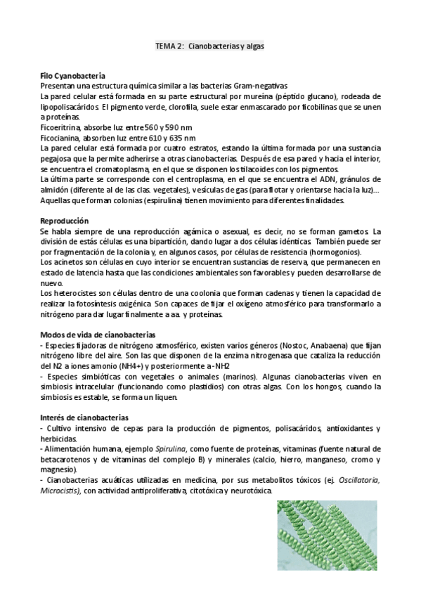 Miniatura del documento tema2botanica.pdf