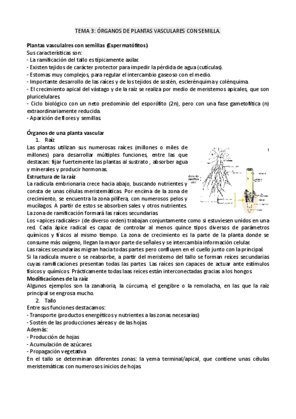 Miniatura del documento tema3botanica.pdf