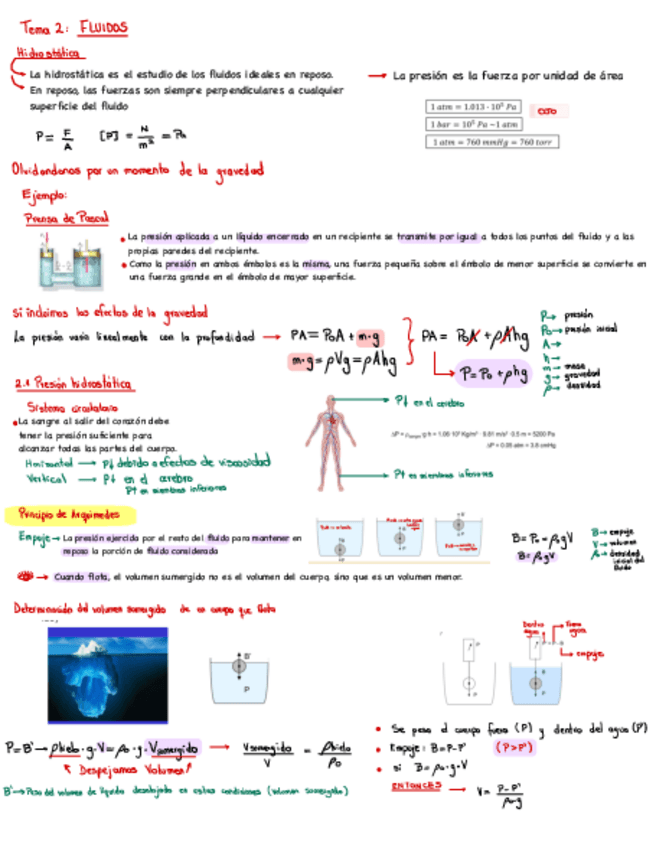 Miniatura del documento Tema-2-apuntes-.pdf