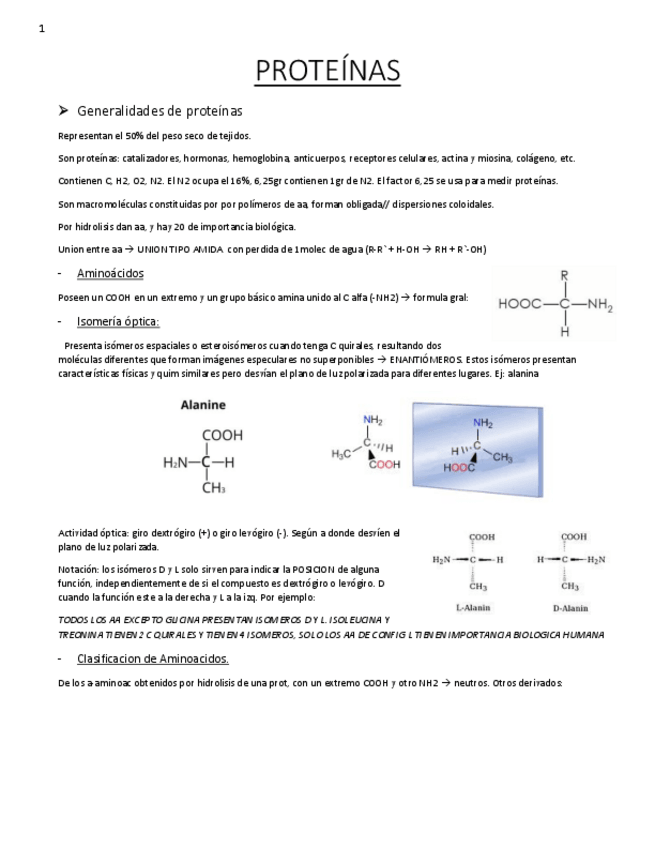 Miniatura del documento prot-resumen-.pdf