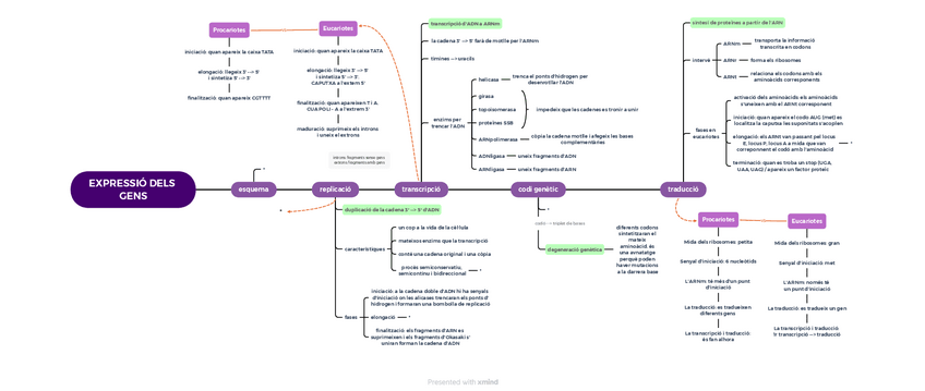 Miniatura del documento EXPRESSIO-DELS-GENS.pdf