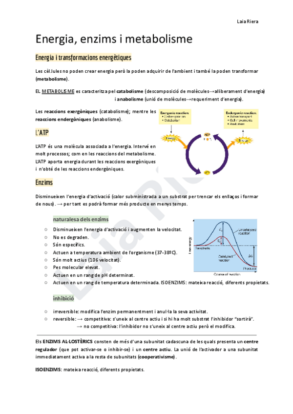 Miniatura del documento Energia-enzims-i-metabolisme.pdf