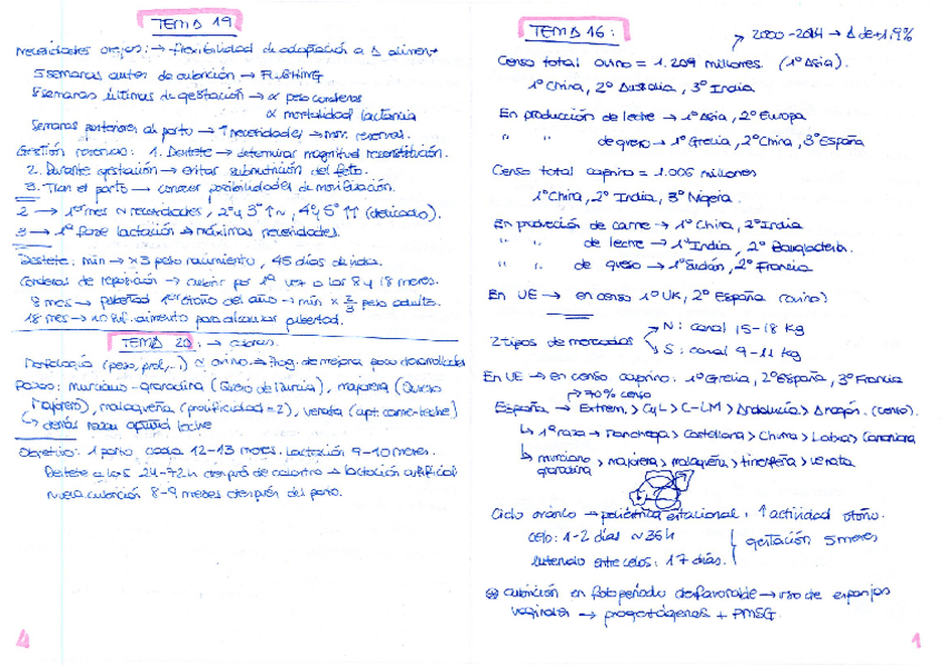 Miniatura del documento Resumen-ovino.pdf