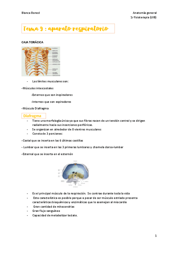 Miniatura del documento t-9-aparato-respiratorio.pdf