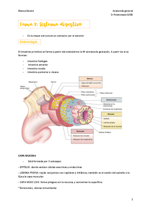 Miniatura del documento T.pdf