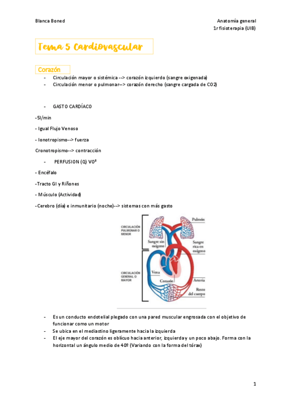 Miniatura del documento T5-cardiovascular-y-vascular.pdf
