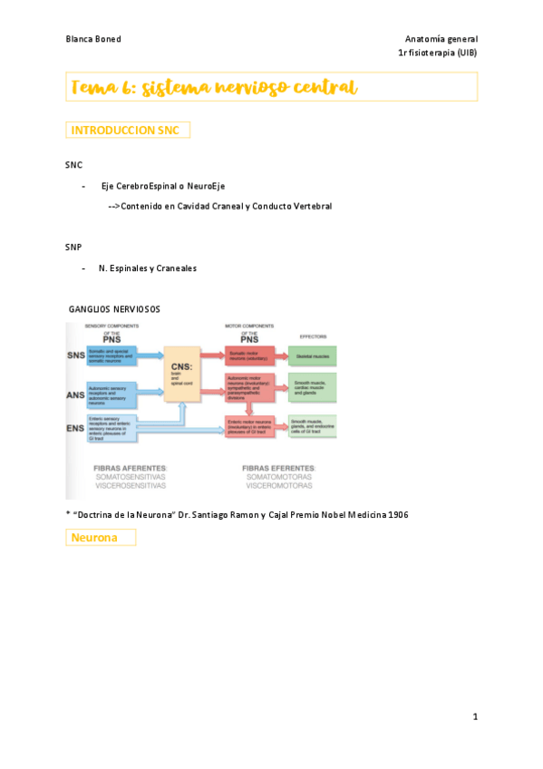 Miniatura del documento t.pdf