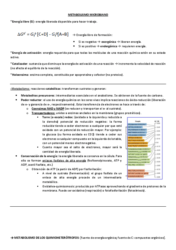 Miniatura del documento Resumen-Tema-5-Metabolismo-Microbiano.pdf