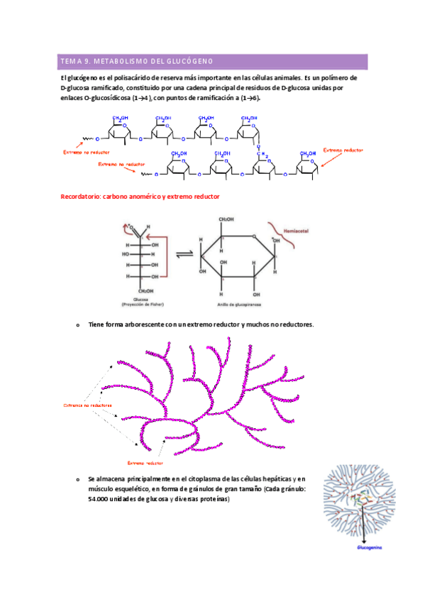 Miniatura del documento TEMA-9.pdf
