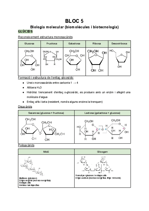 Miniatura del documento Bloc-5-Biologia-molecular-i-biotecnologia.pdf