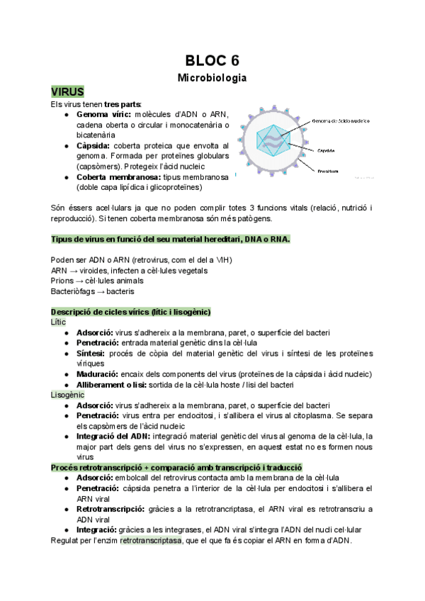 Miniatura del documento Bloc-6-Microbiologia.pdf