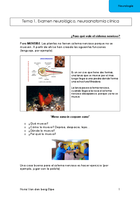 Miniatura del documento Neurologia-T1.pdf