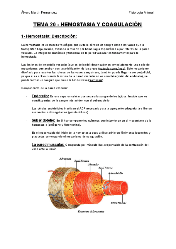 Miniatura del documento TEMA-20-HEMOSTASIA-Y-COAGULACION.pdf