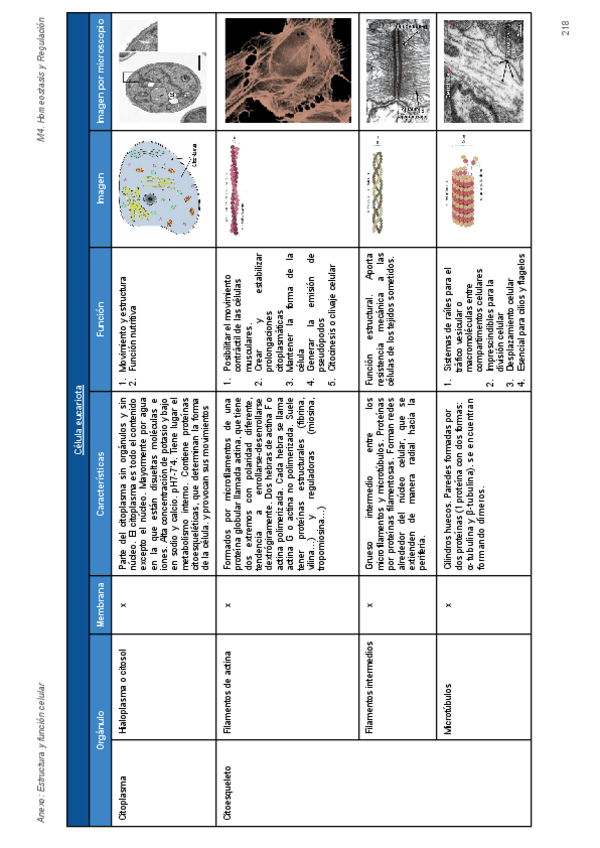 Miniatura del documento Organulos.pdf