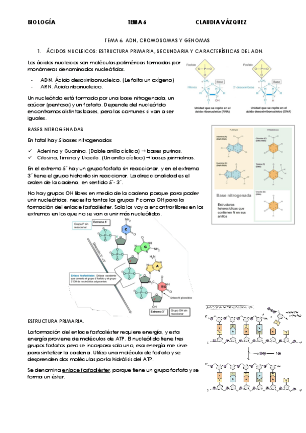 Miniatura del documento TEMA-6.pdf