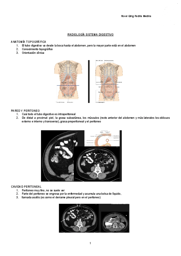 Miniatura del documento RADIOLOGIA-SISTEMA-DIGESTIVO-Documentos-de-Google.pdf