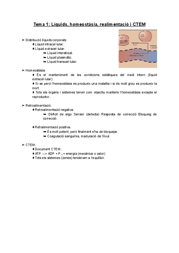 Miniatura del documento Tema-1-Liquids-homeostasia-realimentacio-i-CTEM.pdf