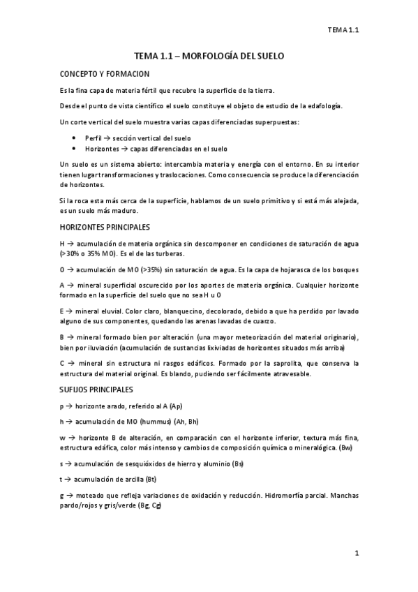 Miniatura del documento 1.pdf