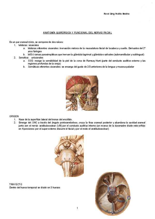 Miniatura del documento ANATOMIA-QUIRURGICA-Y-FUNCIONAL-DEL-NERVIO-FACIAL-Documentos-de-Google.pdf