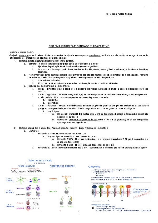 Miniatura del documento SISTEMA-INMUNITARIO-INNATO-Y-ADAPTATIVO-Documentos-de-Google.pdf