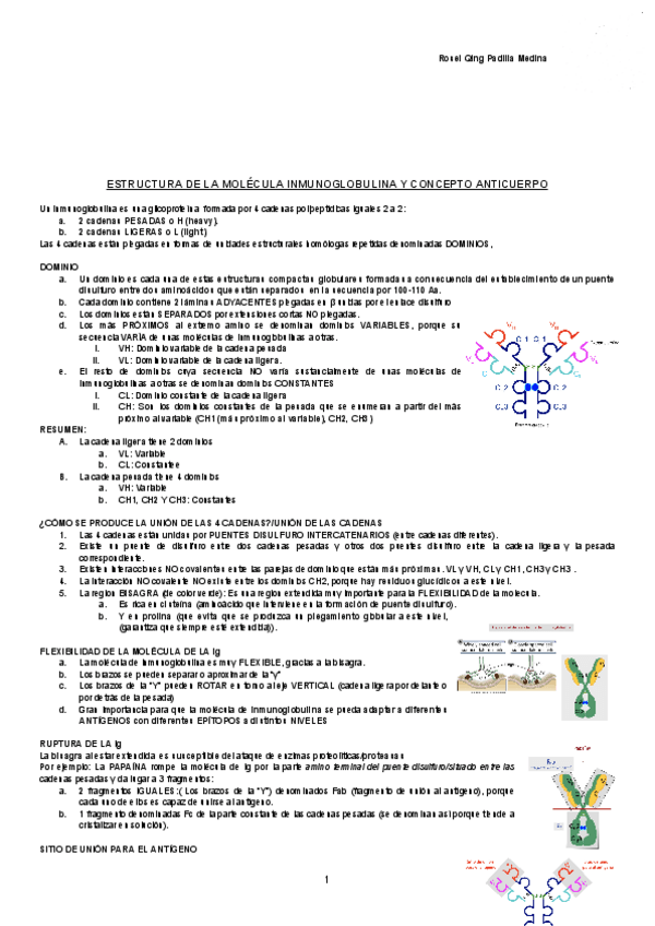 Miniatura del documento ESTRUCTURA-DE-LA-MOLECULA-INMUNOGLOBULINA-Y-CONCEPTO-ANTICUERPO-Documentos-de-Google.pdf