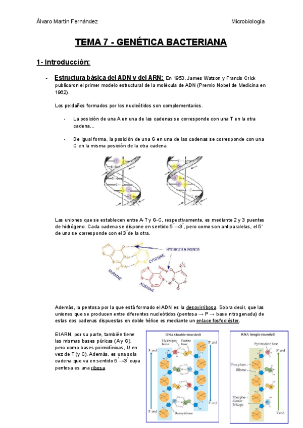 Miniatura del documento TEMA-7-GENETICA-BACTERIANA.pdf