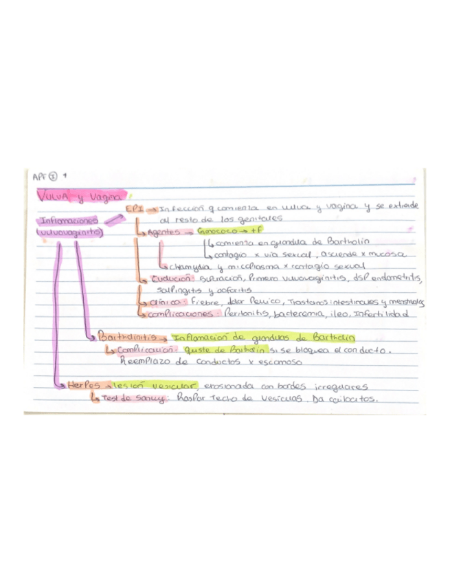 Miniatura del documento Ap-Femenino-I.pdf