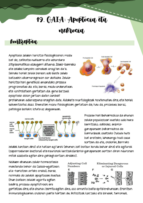 Miniatura del documento Gaia-19.pdf