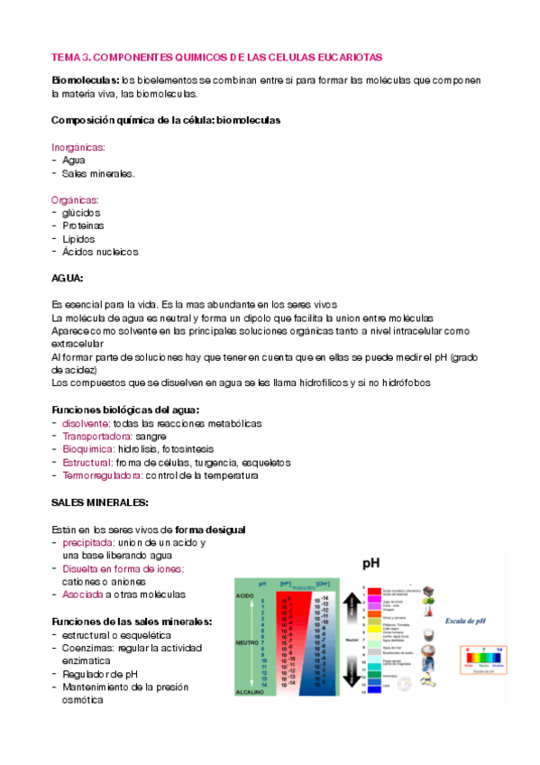Miniatura del documento tema-3-biologia-.pdf