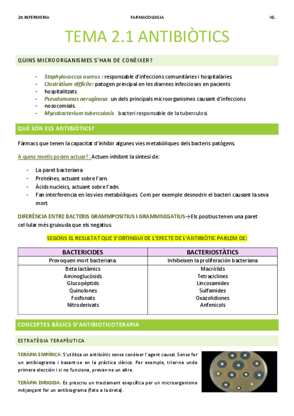 Miniatura del documento Resum ANTIBIOTICS.pdf