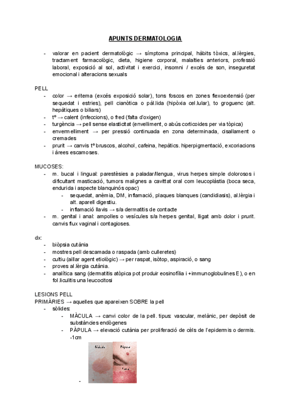 Miniatura del documento APUNTS-DERMATOLOGIA.pdf