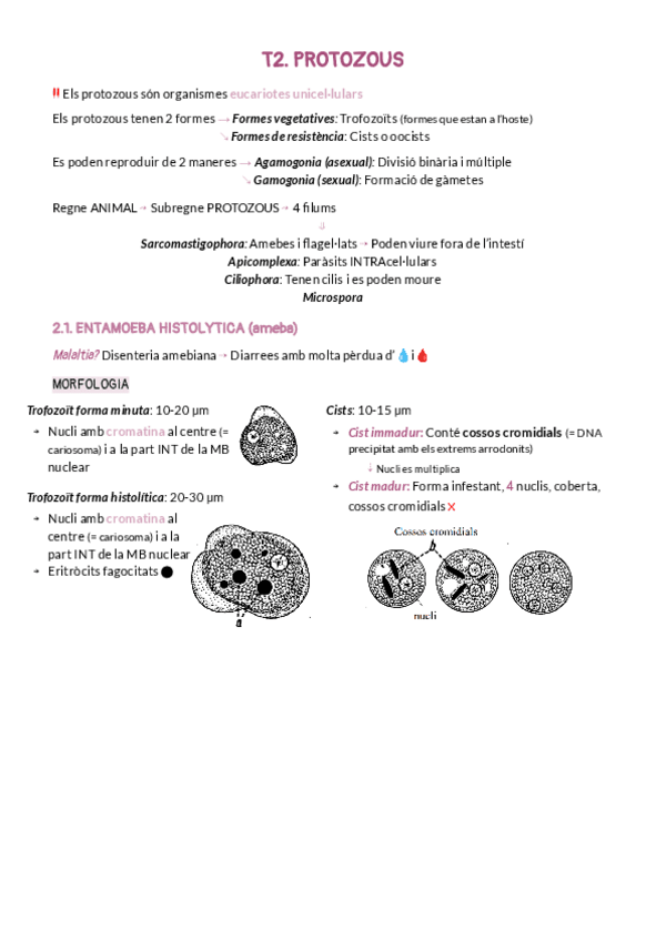 Miniatura del documento T2PROTOZOUS.pdf