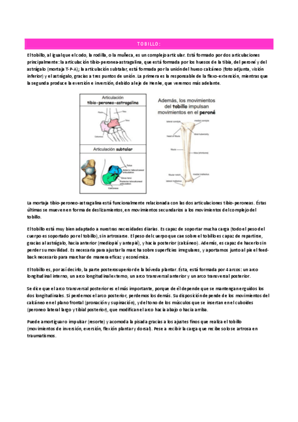 Miniatura del documento TEMA-14.pdf