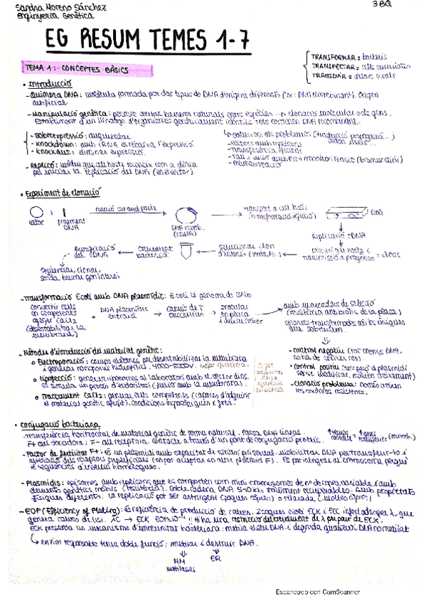 Miniatura del documento EG-resum-T1-7.pdf