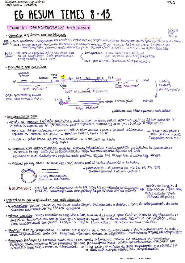 Miniatura del documento EG-resum-T8-13.pdf