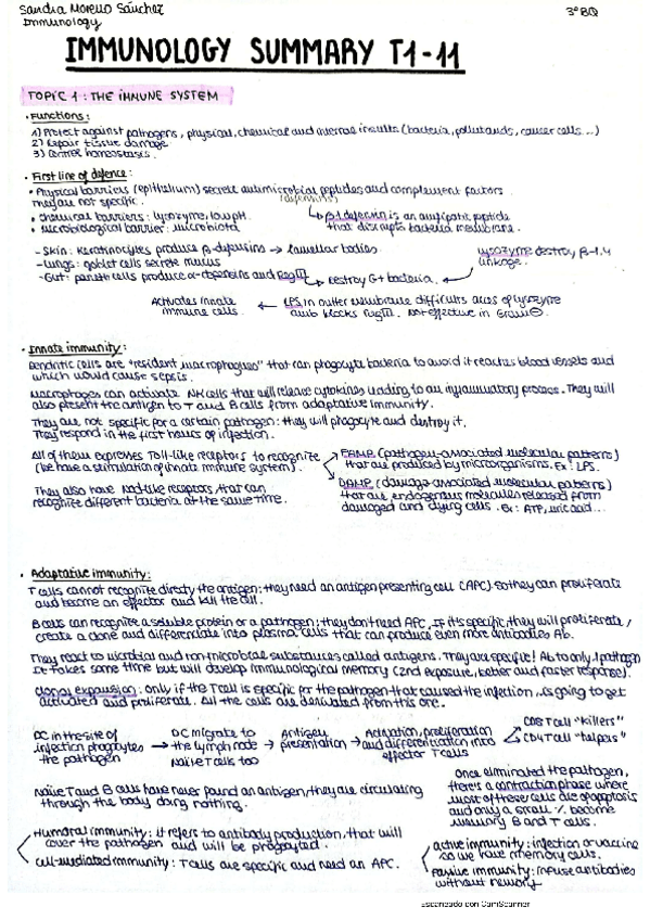 Miniatura del documento IM-summary-T1-11.pdf